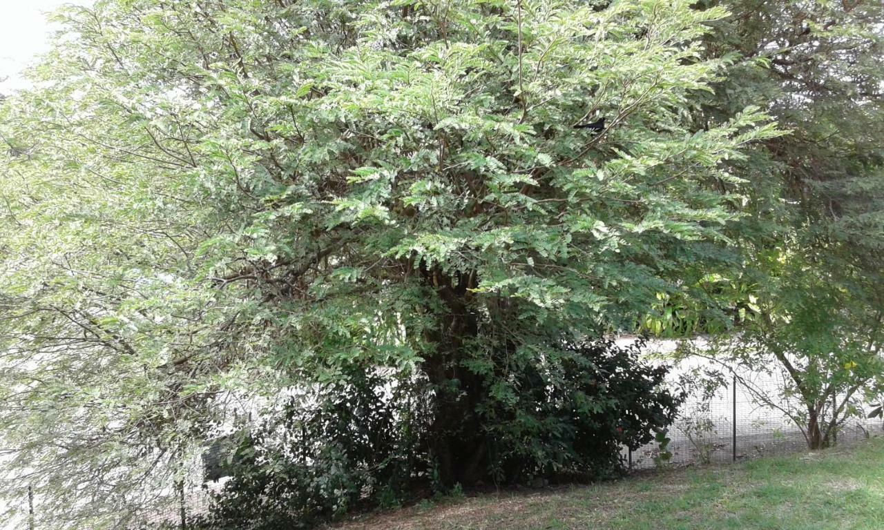 Villa Obaki 생트안느 외부 사진